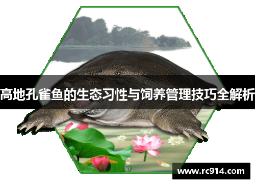 高地孔雀鱼的生态习性与饲养管理技巧全解析